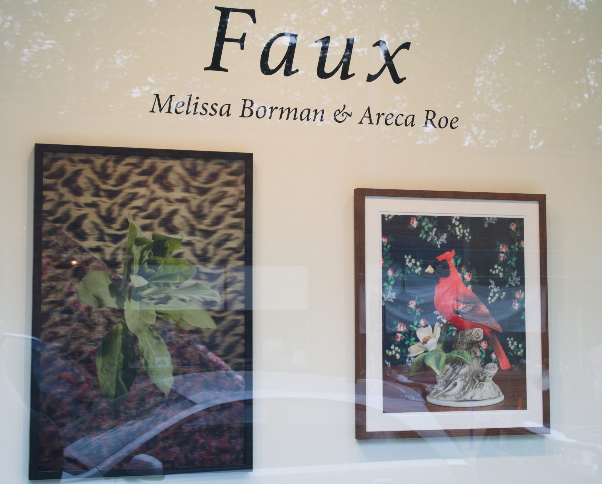 Rosalux Gallery – Faux featuring Melissa Borman and Areca Roe