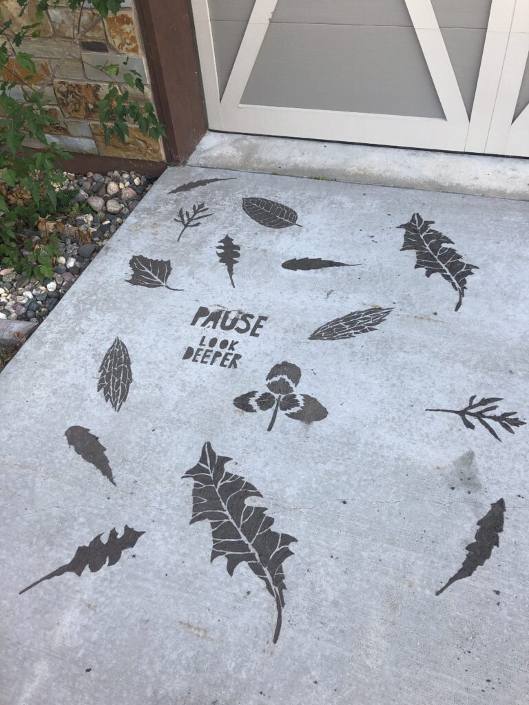 a photo of mud stencils on concrete. One stencil reads, "pause, look deeper." the other stencils are of leaves drawn from plants in the area.