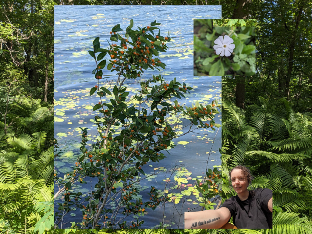 a photo collage including imagery of ferns, a small flower, a mock orange plant by water, and Liz.